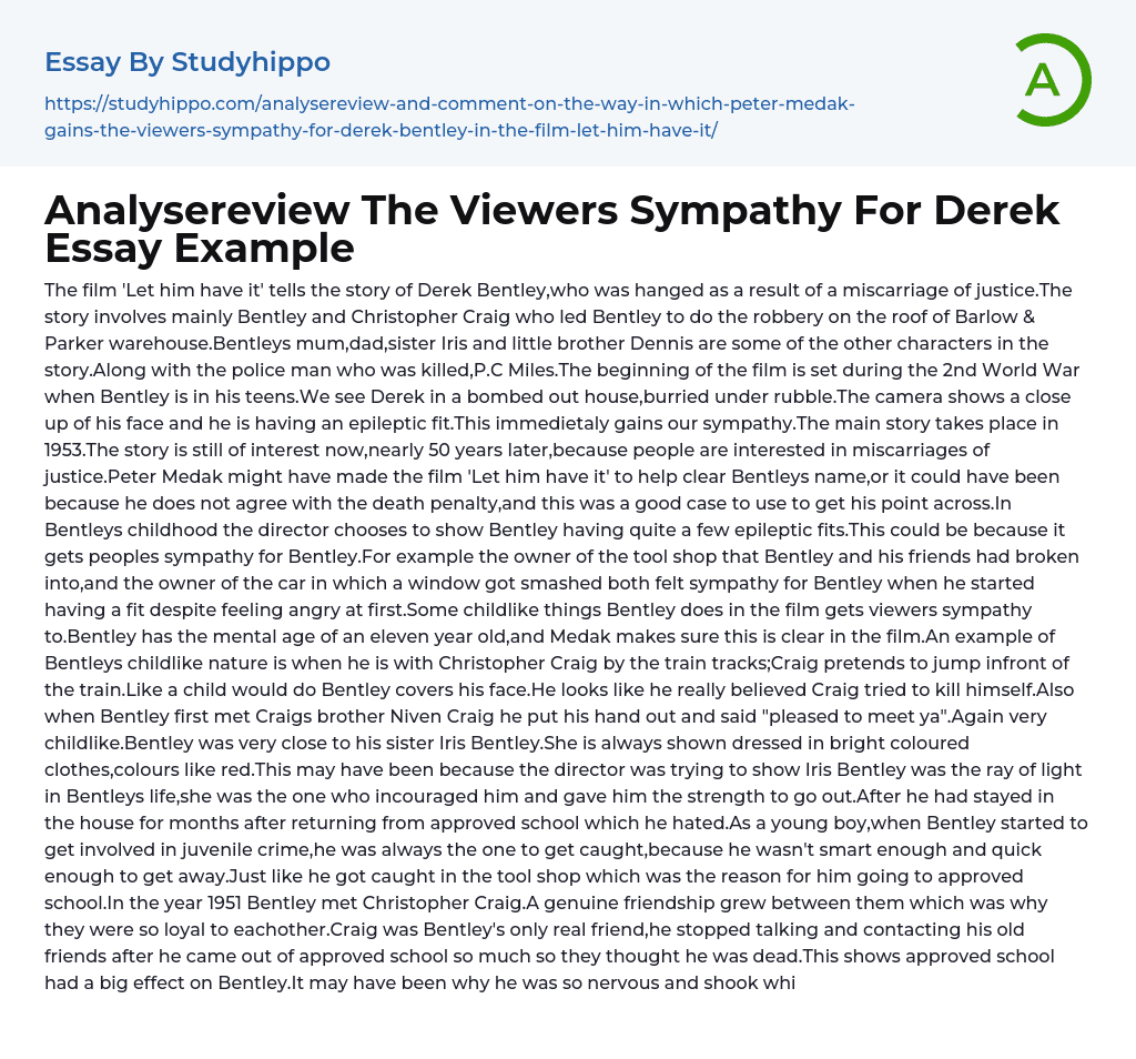 Analysereview The Viewers Sympathy For Derek Essay Example