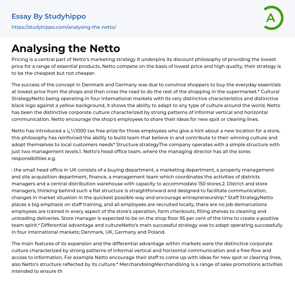 Analysing the Netto Essay Example