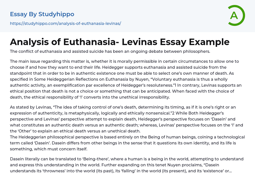 Analysis of Euthanasia- Levinas Essay Example