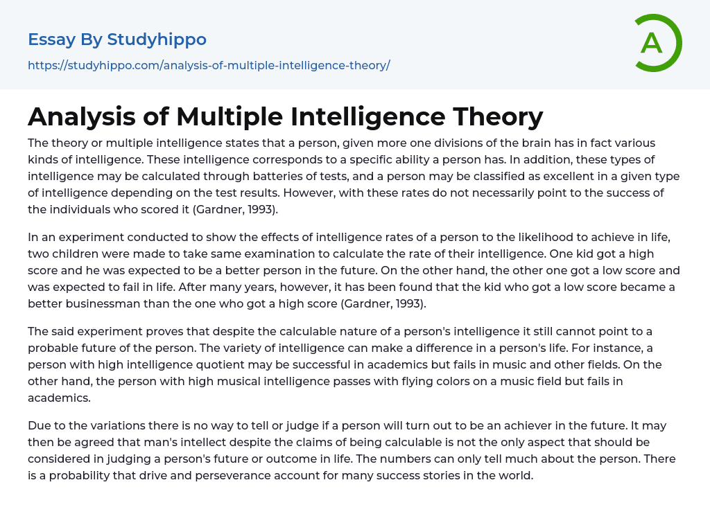 Analysis of Multiple Intelligence Theory Essay Example