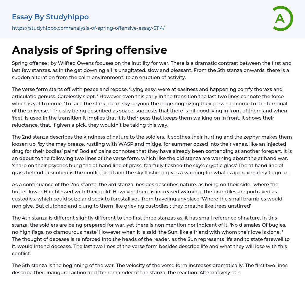 Analysis of Spring offensive Essay Example