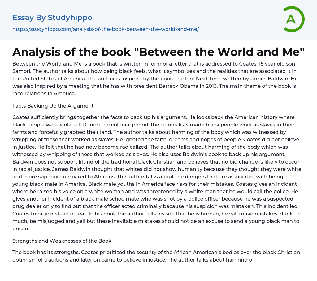 Analysis of the book “Between the World and Me” Essay Example
