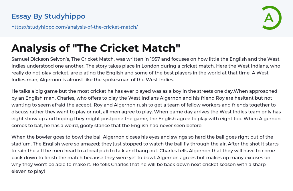 Analysis of “The Cricket Match” Essay Example