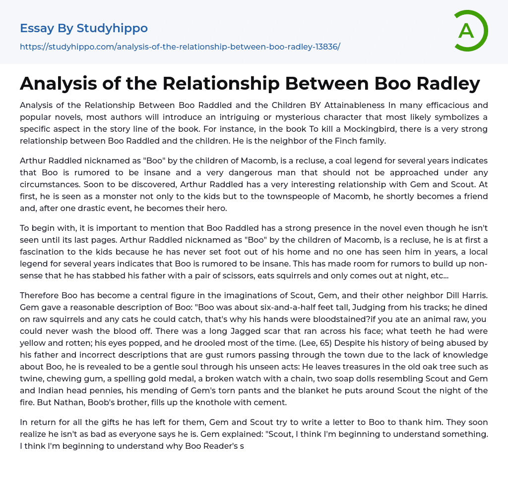 Analysis of the Relationship Between Boo Radley Essay Example