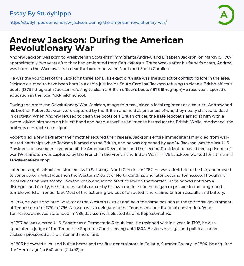Andrew Jackson: During the American Revolutionary War Essay Example