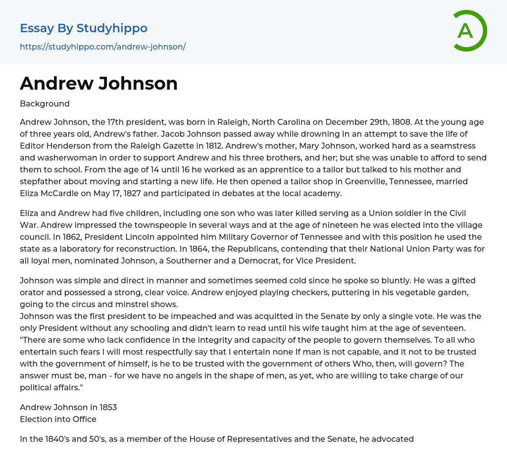 Andrew Johnson Essay Example