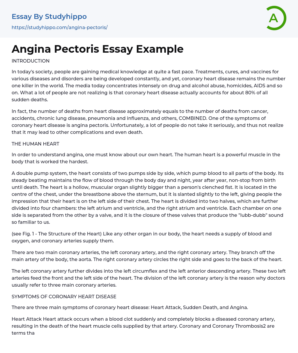 Angina Pectoris Essay Example
