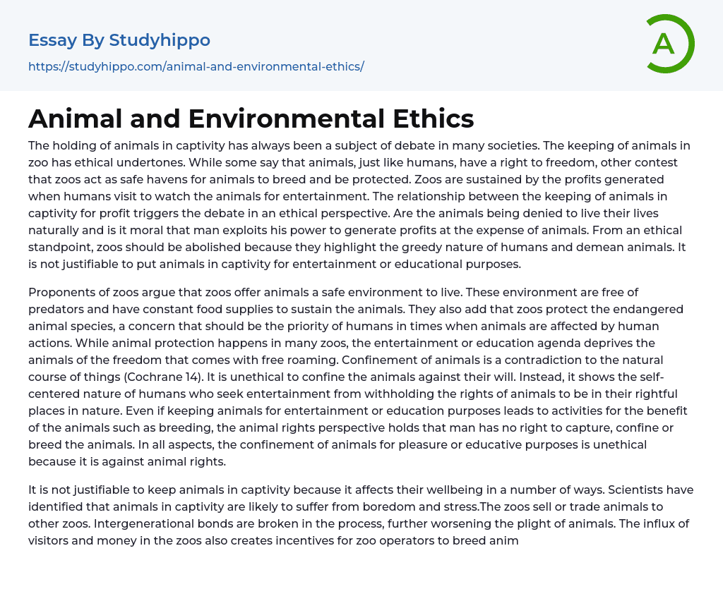 Animal and Environmental Ethics Essay Example