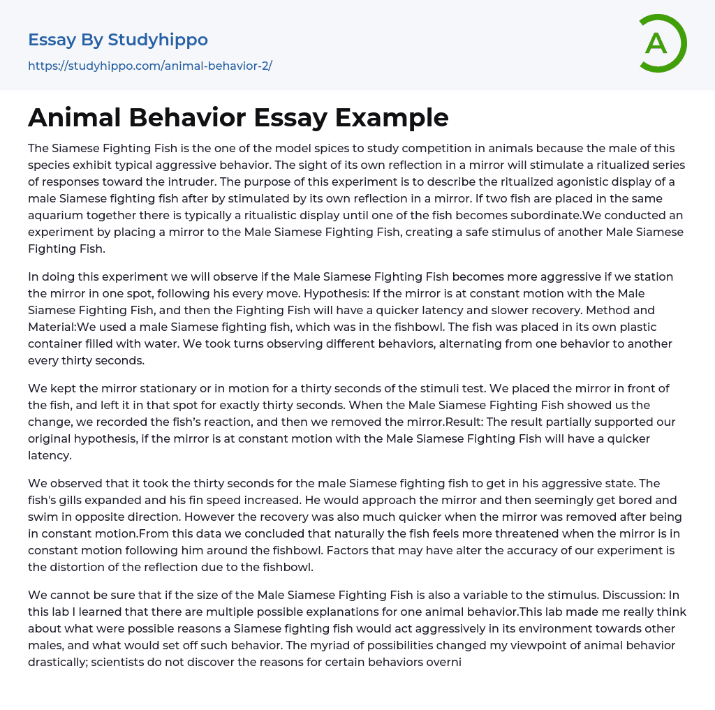 Animal Behavior Essay Example