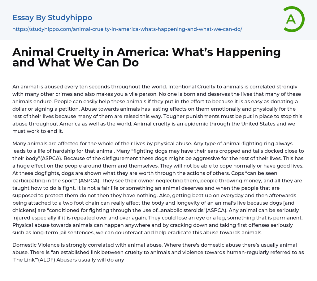 Animal Cruelty in America: What’s Happening and What We Can Do Essay Example
