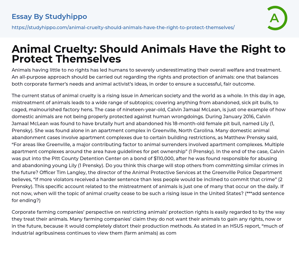 Animal Cruelty: Should Animals Have the Right to Protect Themselves Essay Example