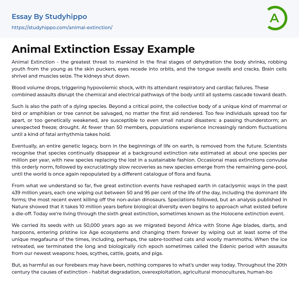 Animal Extinction Essay Example