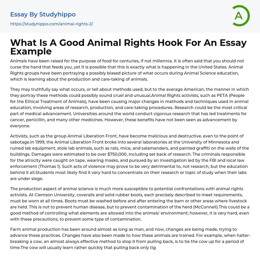 What Is A Good Animal Rights Hook For An Essay Example