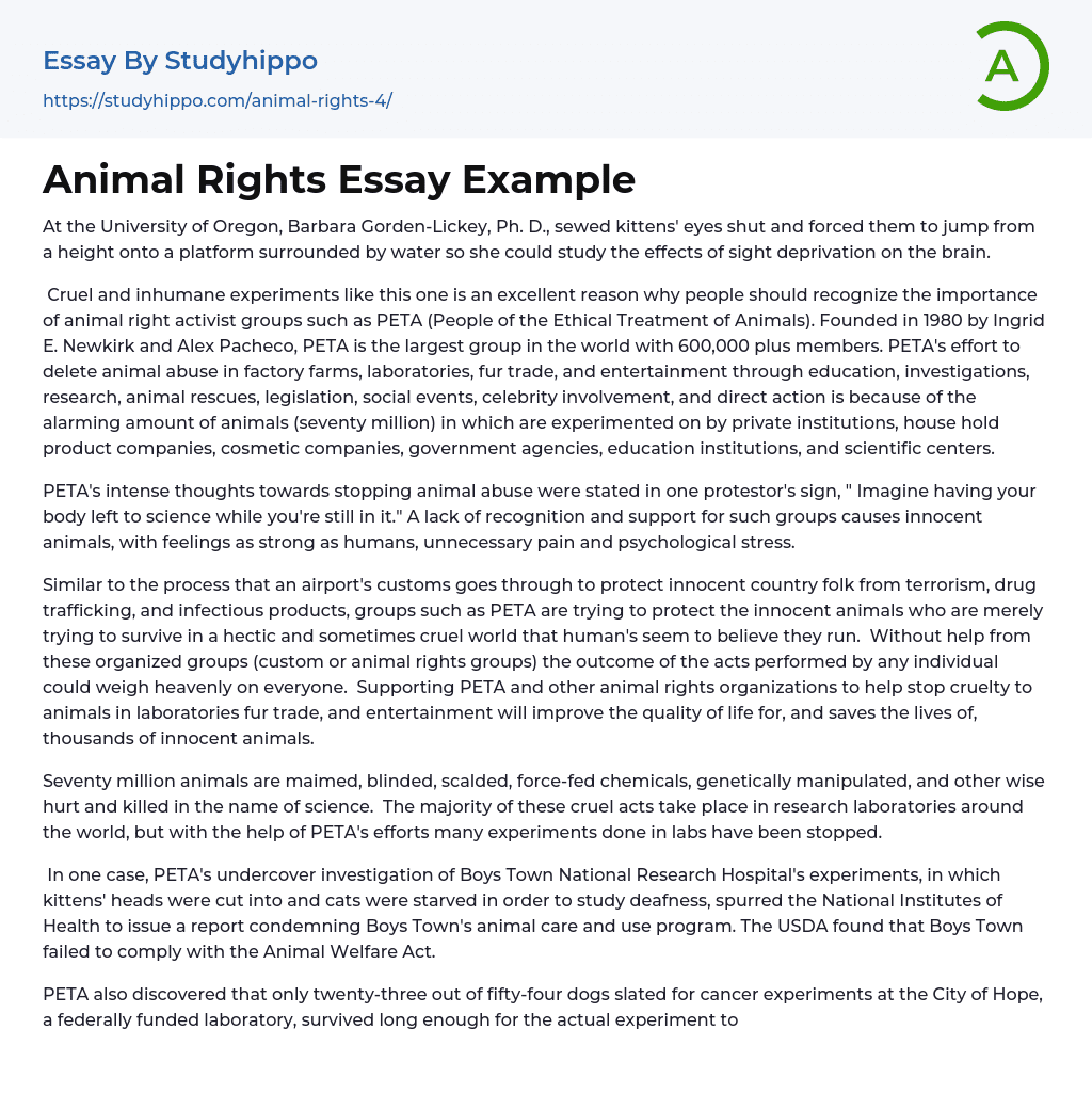 Animal Rights Essay Example