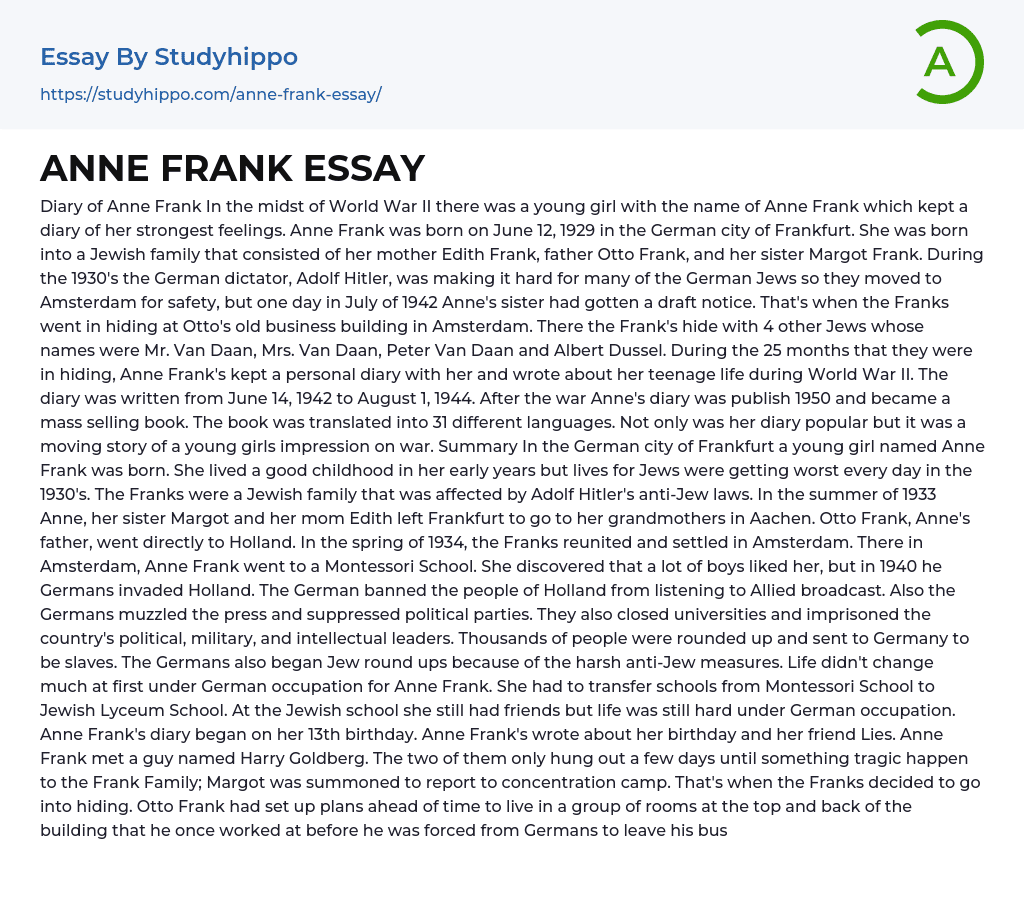 ANNE FRANK ESSAY
