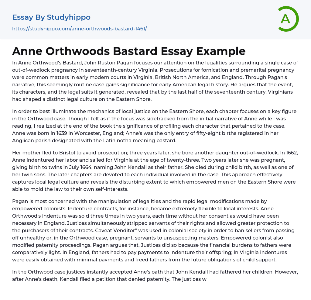 Anne Orthwoods Bastard Essay Example