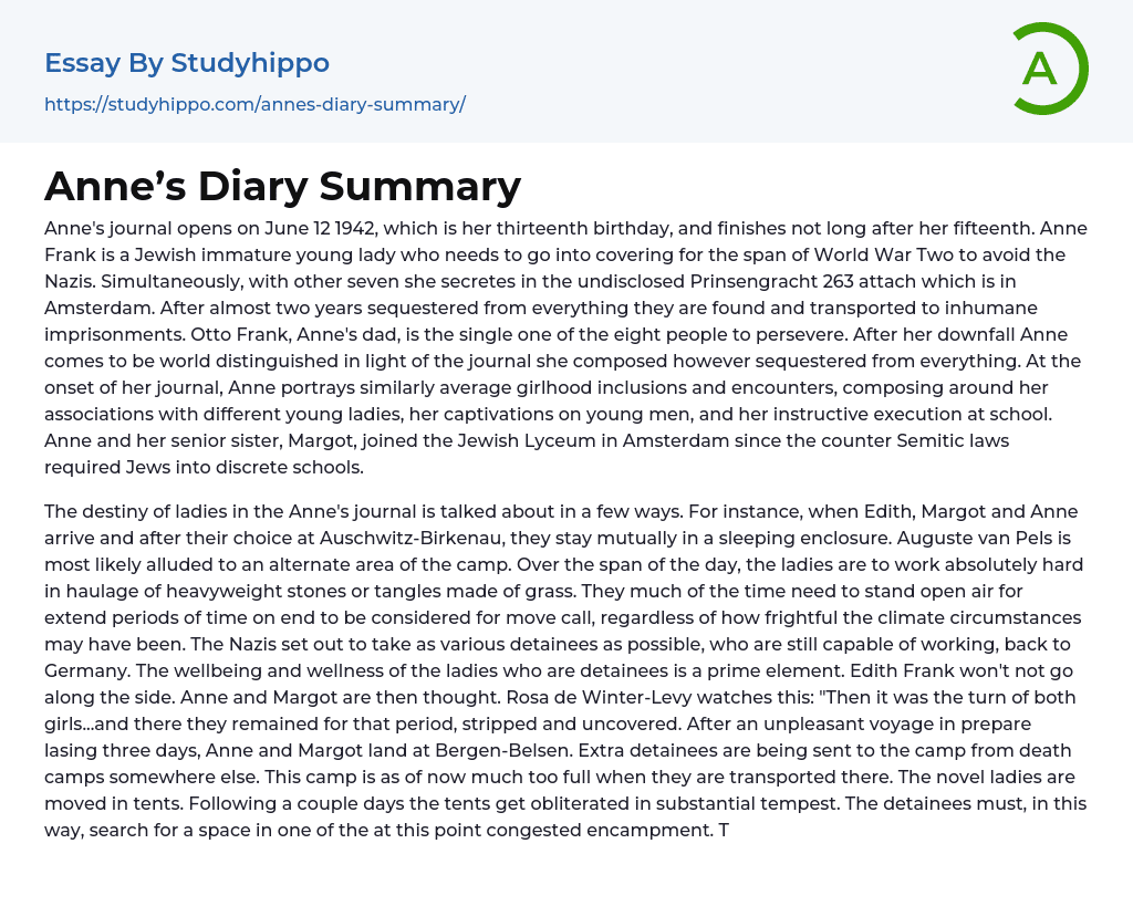 Anne’s Diary Summary Essay Example