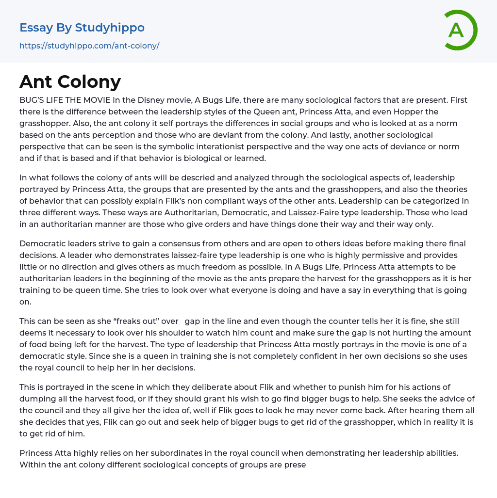 Ant Colony Essay Example