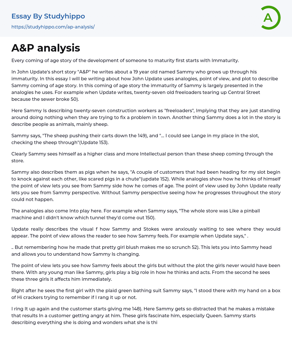 A&P analysis Essay Example