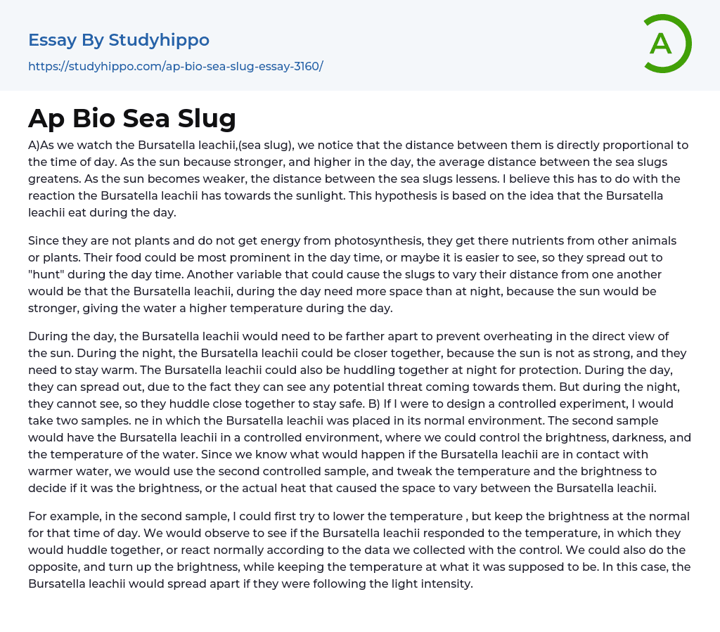 Ap Bio Sea Slug Essay Example