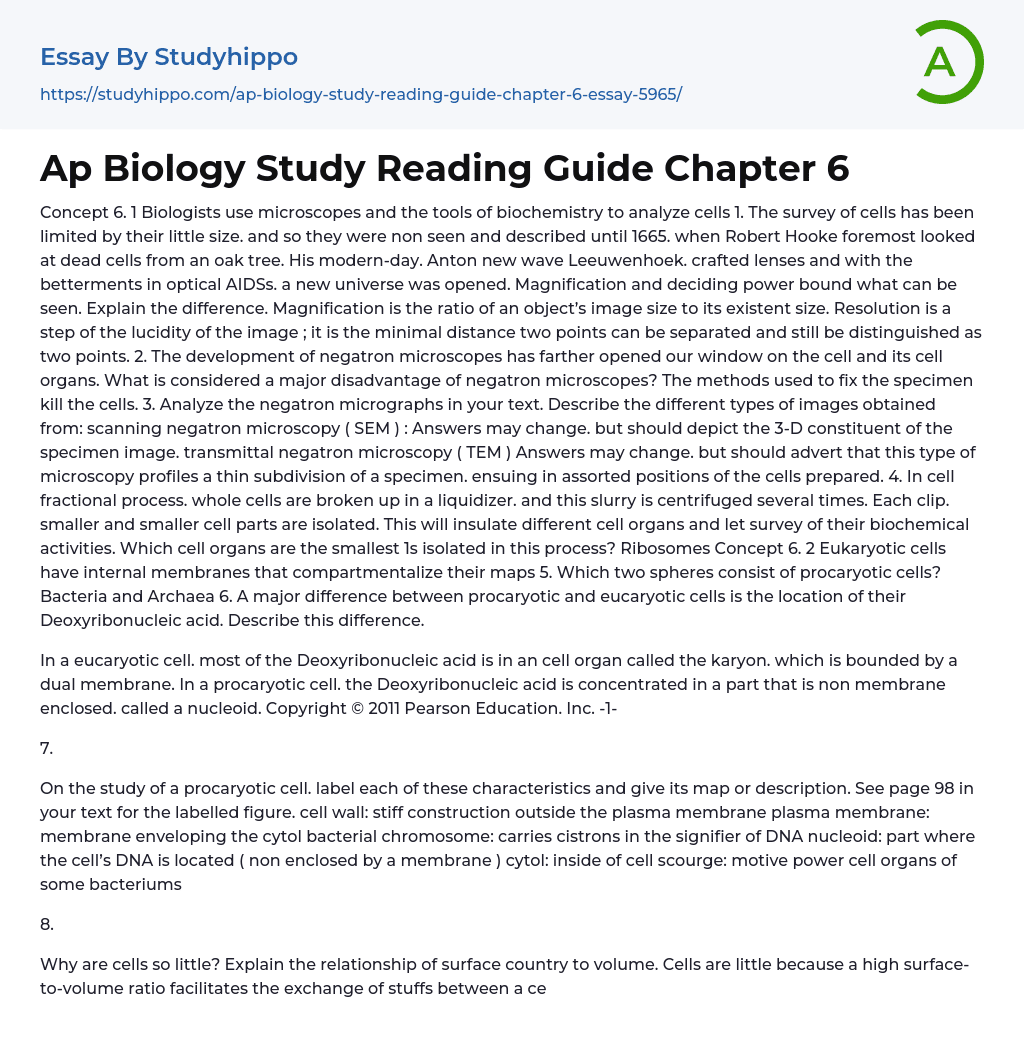 Ap Biology Study Reading Guide Chapter 6 Essay Example