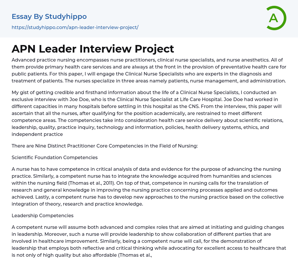 APN Leader Interview Project Essay Example
