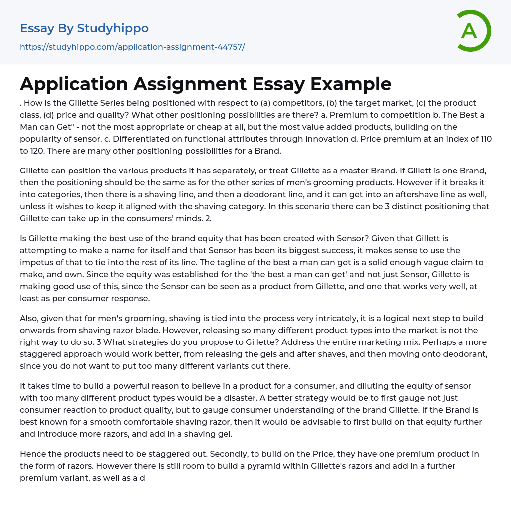 Application Assignment Essay Example