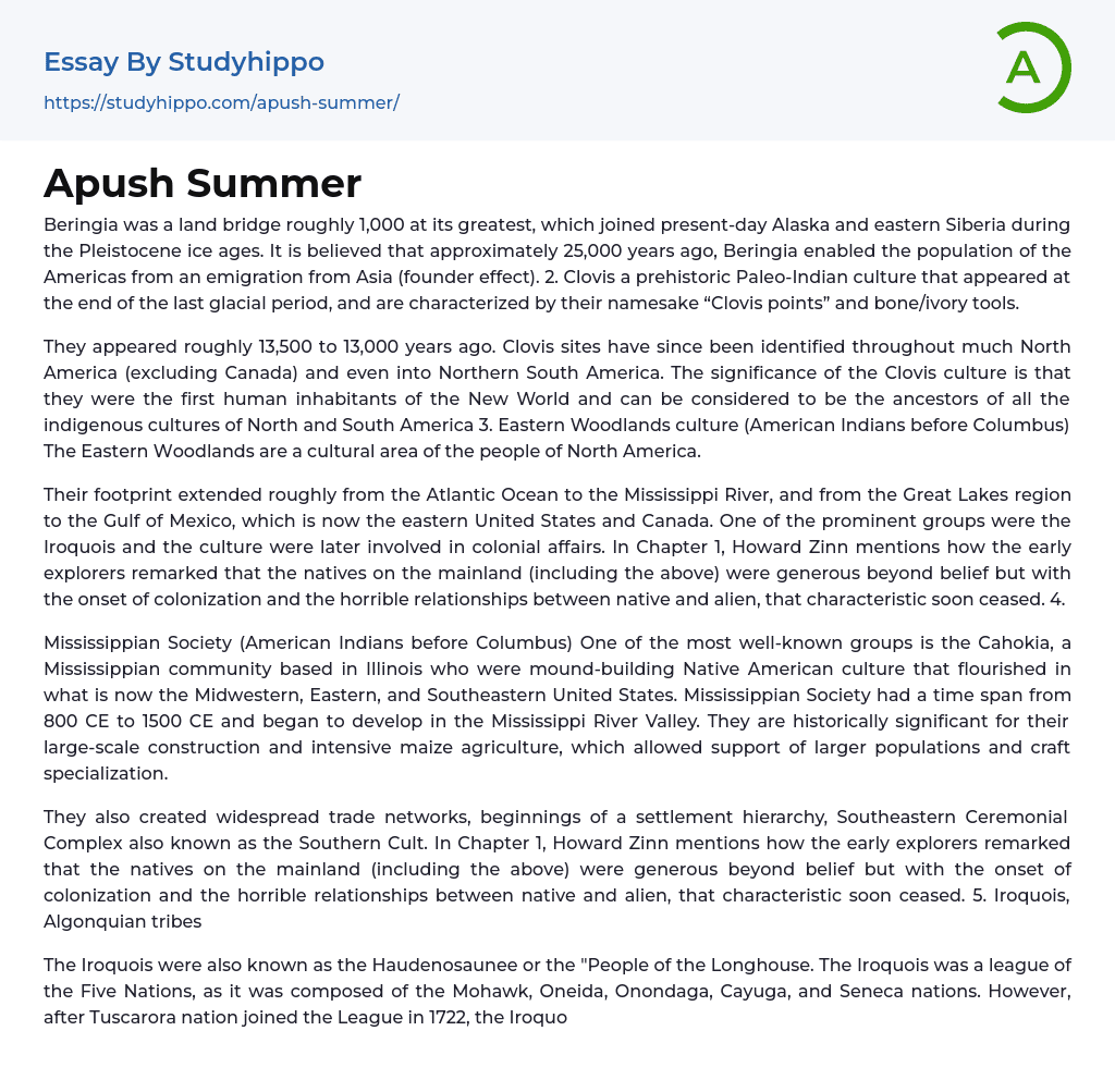 Apush Summer Essay Example