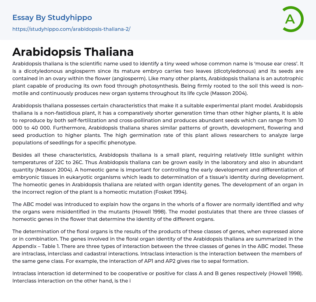 Arabidopsis Thaliana Essay Example