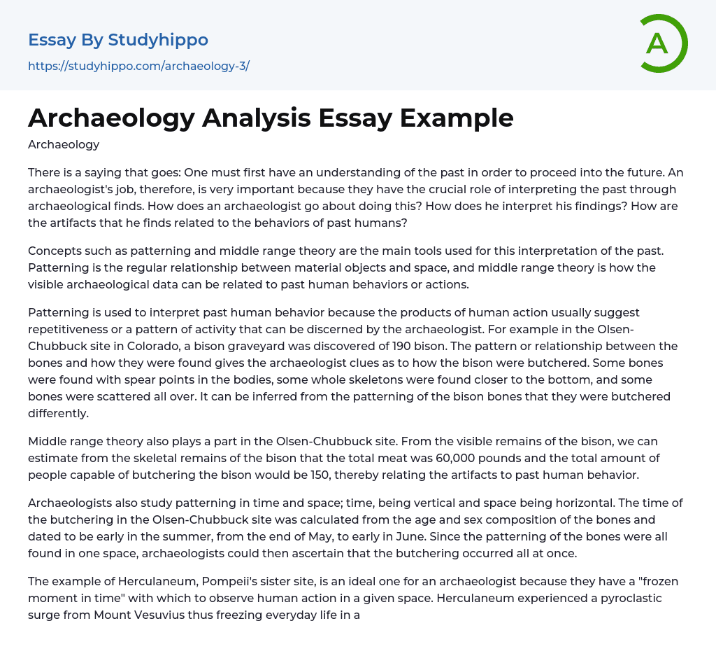 Archaeology Analysis Essay Example