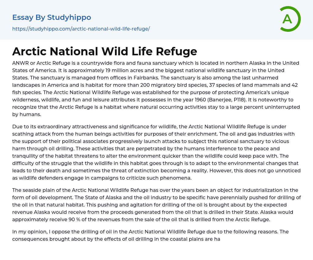 Arctic National Wild Life Refuge Essay Example