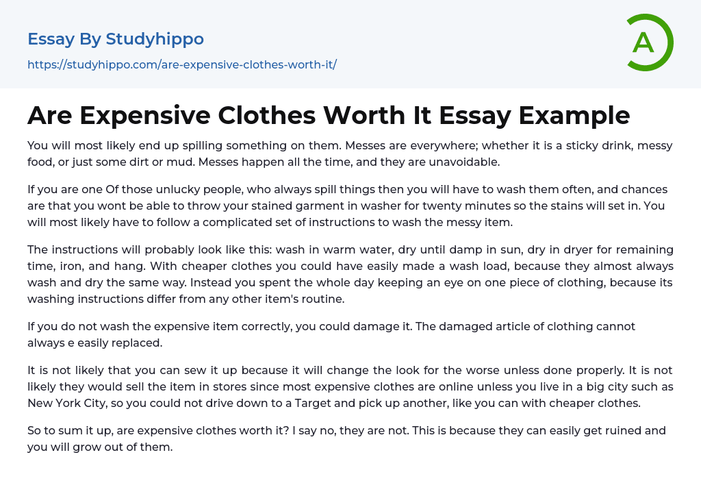 Are Expensive Clothes Worth It Essay Example