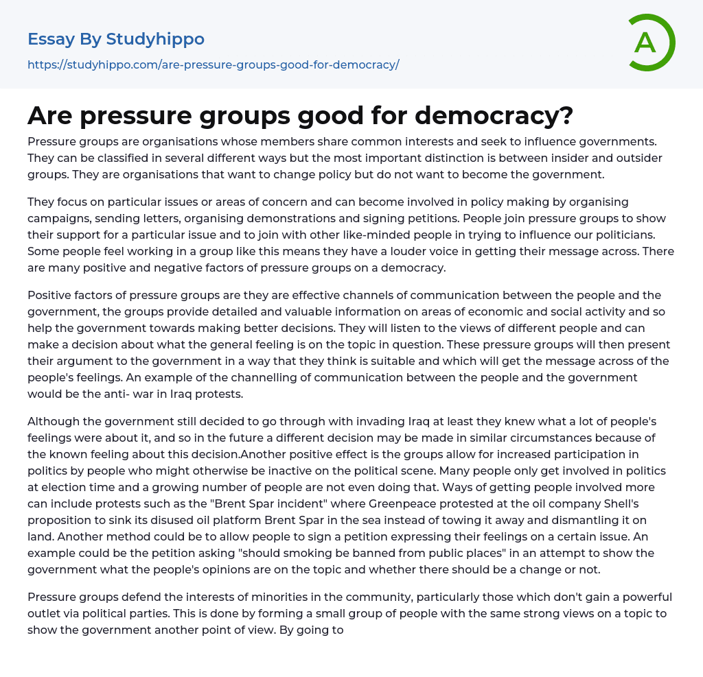 Are pressure groups good for democracy? Essay Example