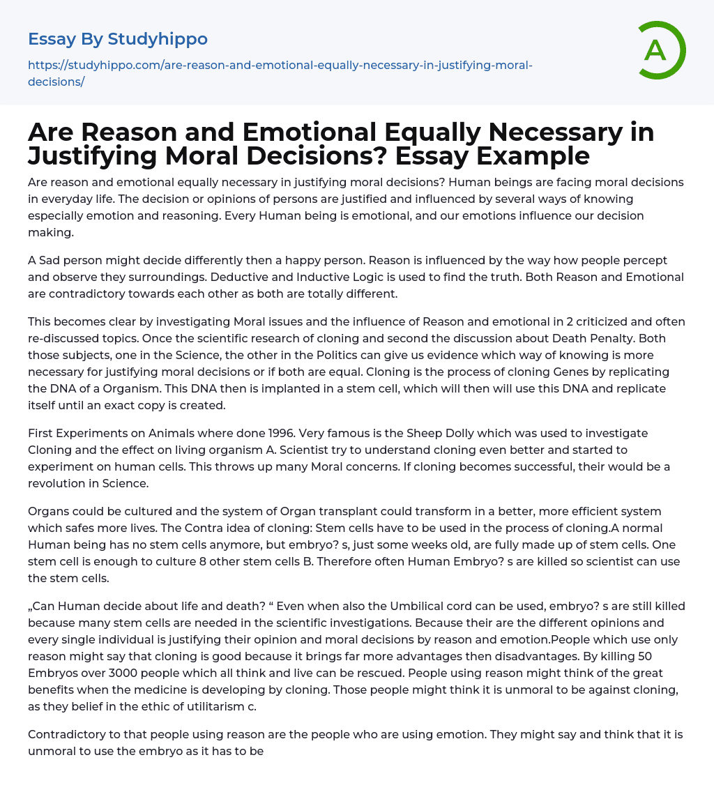Are Reason and Emotional Equally Necessary in Justifying Moral Decisions? Essay Example