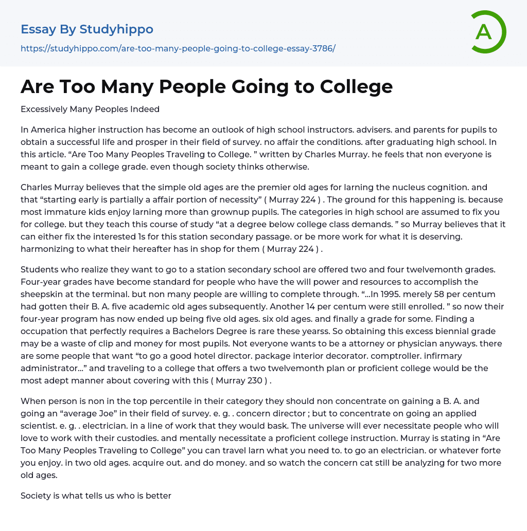Are Too Many People Going to College Essay Example