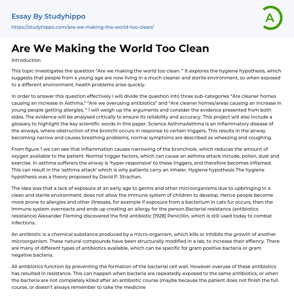 Are We Making the World Too Clean Essay Example