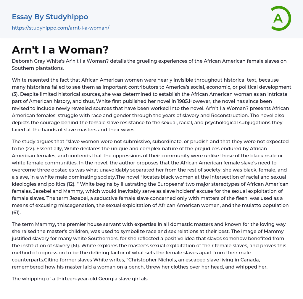 Arn’t I a Woman? Essay Example