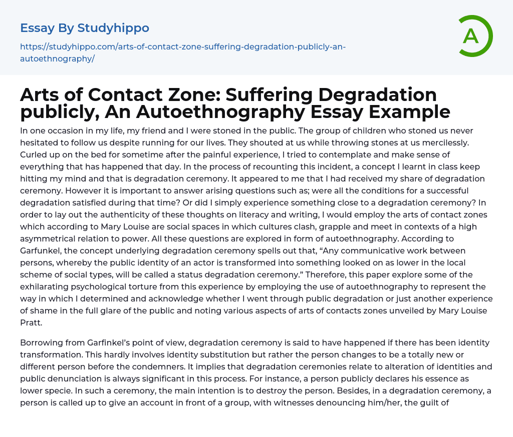 Arts of Contact Zone: Suffering Degradation publicly, An Autoethnography Essay Example