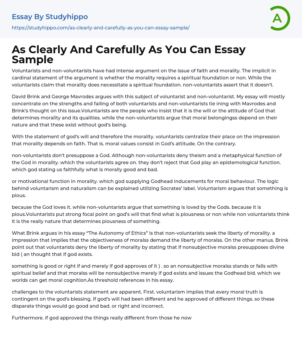As Clearly And Carefully As You Can Essay Sample