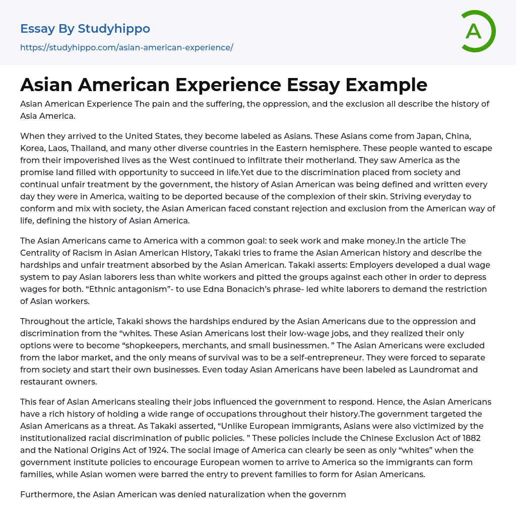 Asian American Experience Essay Example