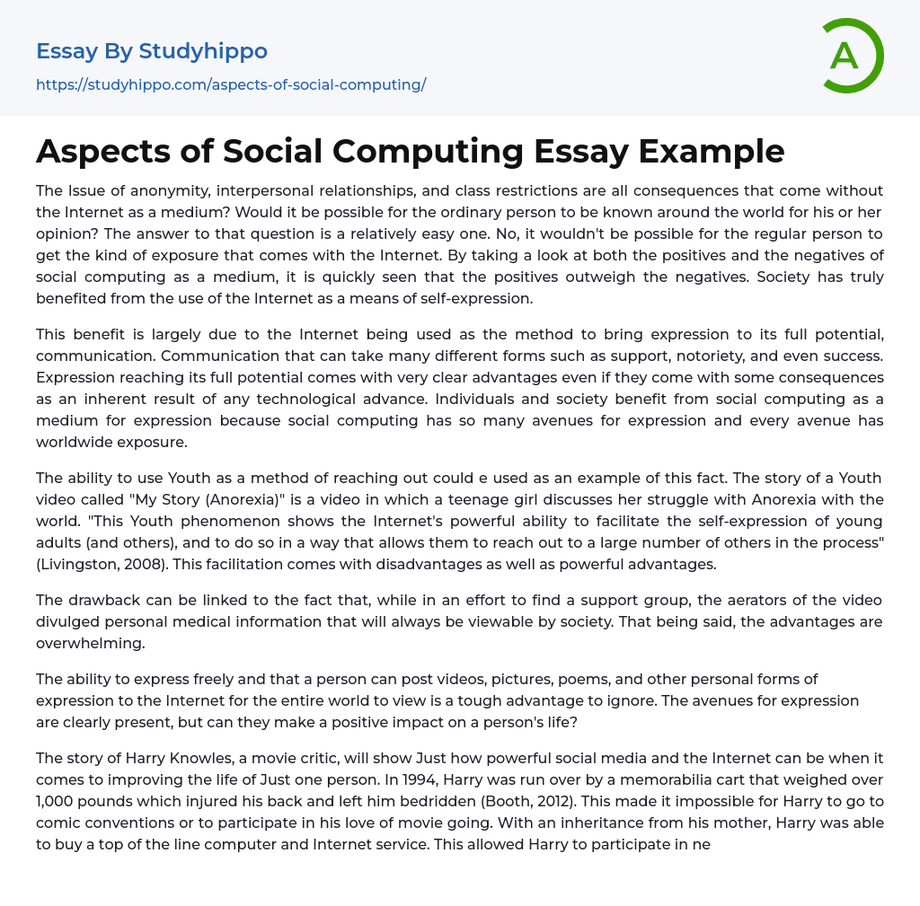 Aspects of Social Computing Essay Example