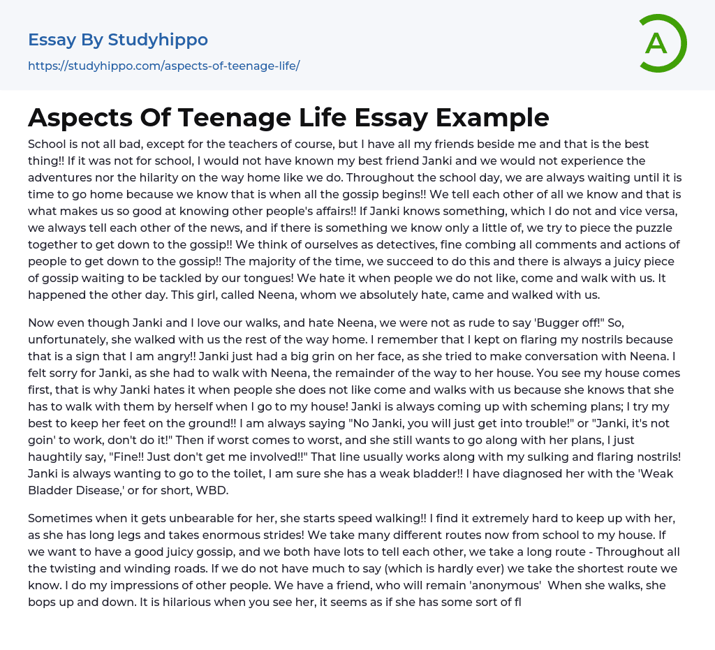 Aspects Of Teenage Life Essay Example