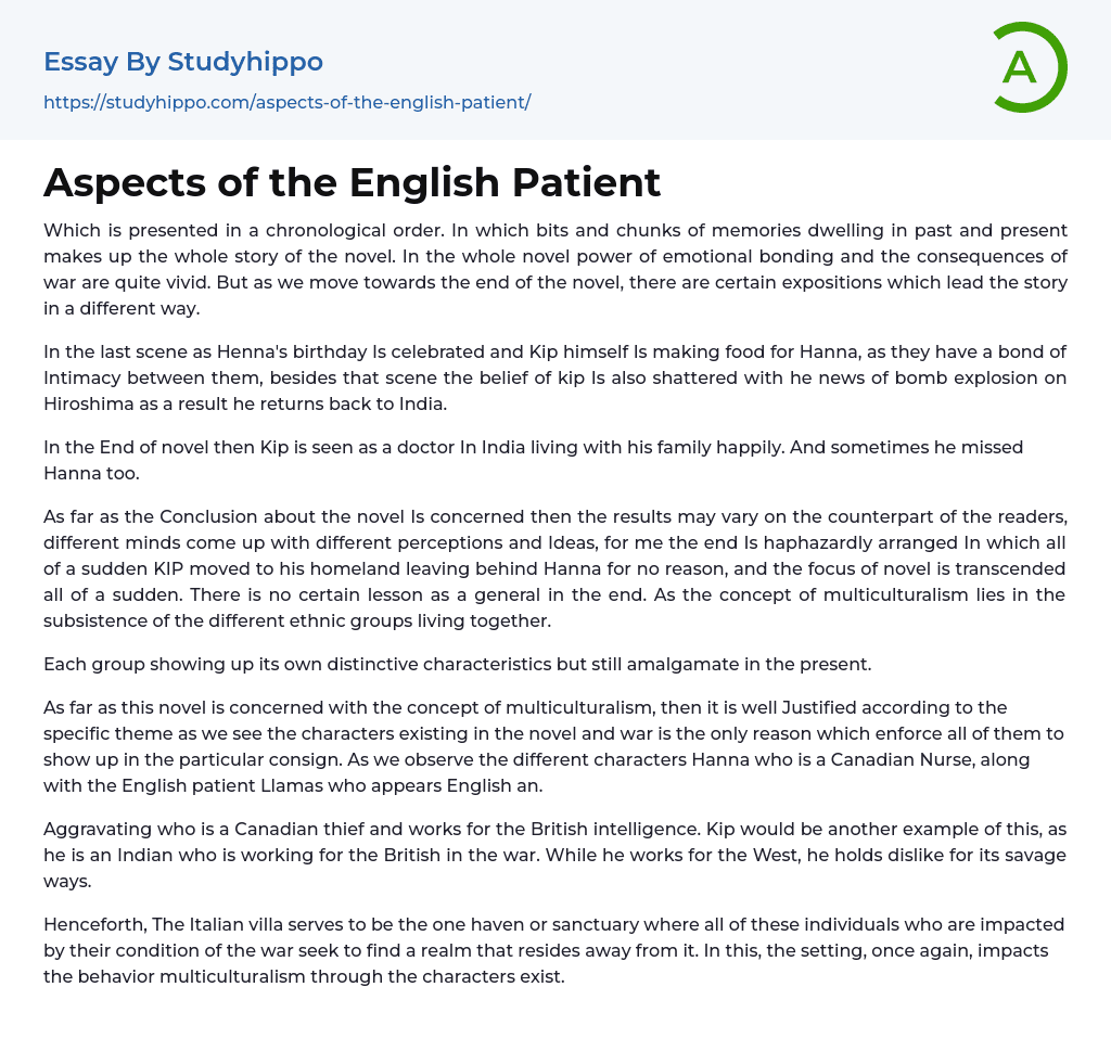 Aspects of the English Patient Essay Example