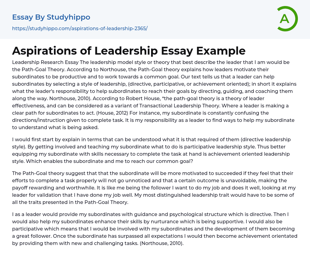 Aspirations of Leadership Essay Example