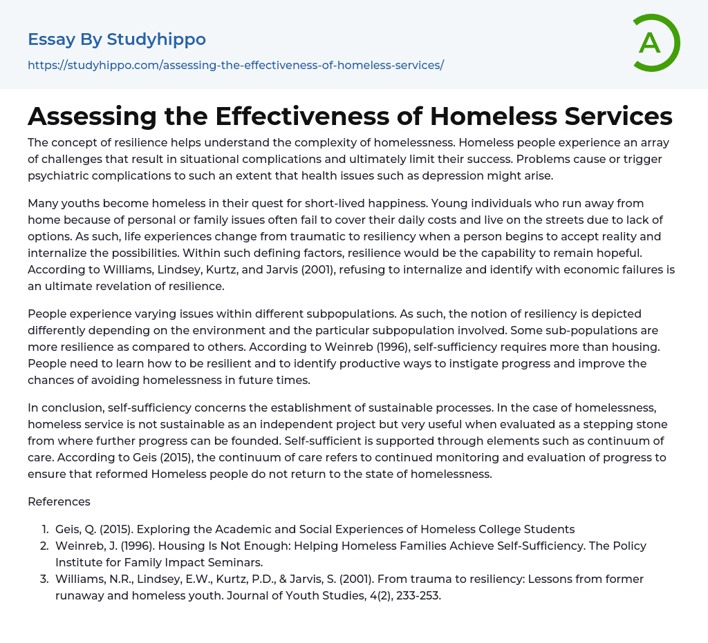 Assessing the Effectiveness of Homeless Services Essay Example
