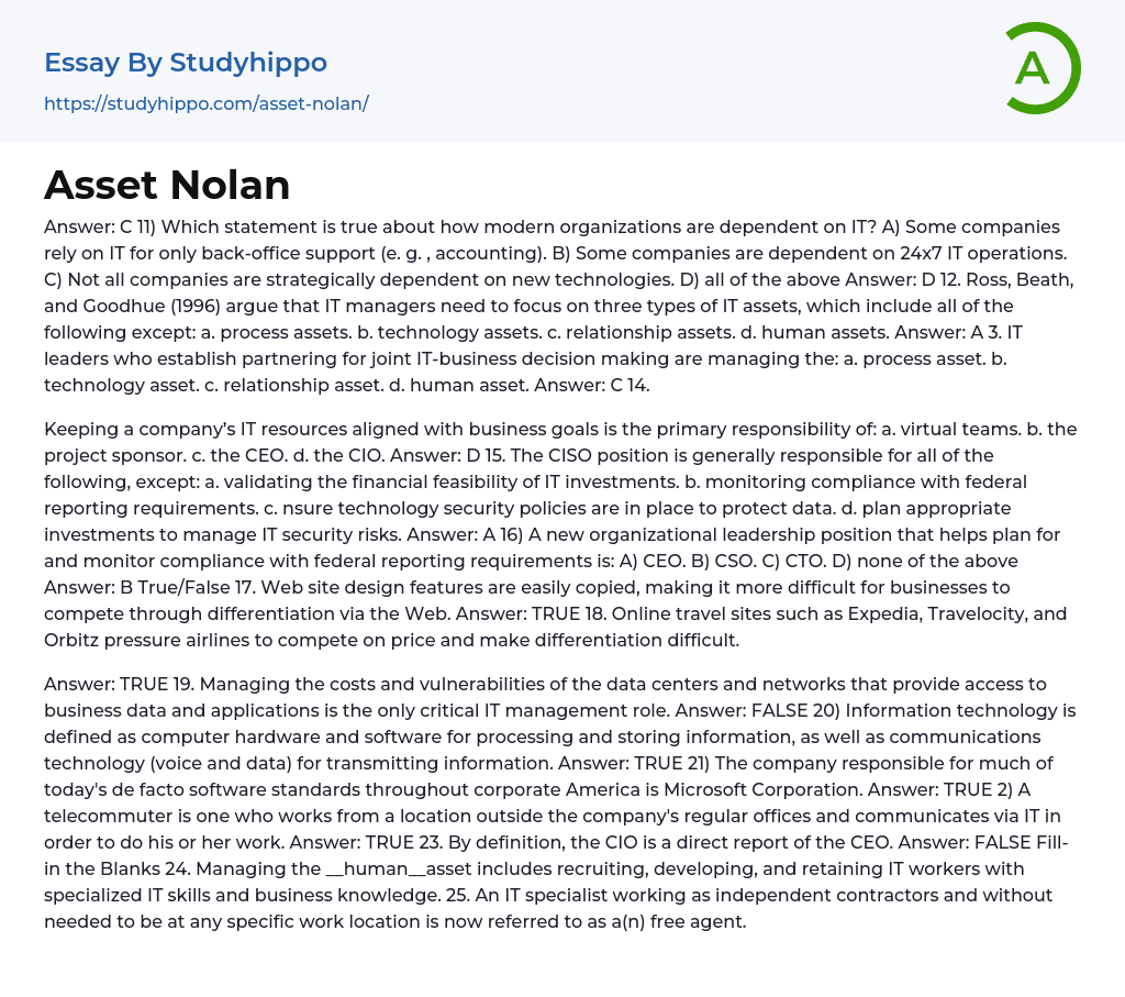 Asset Nolan Essay Example