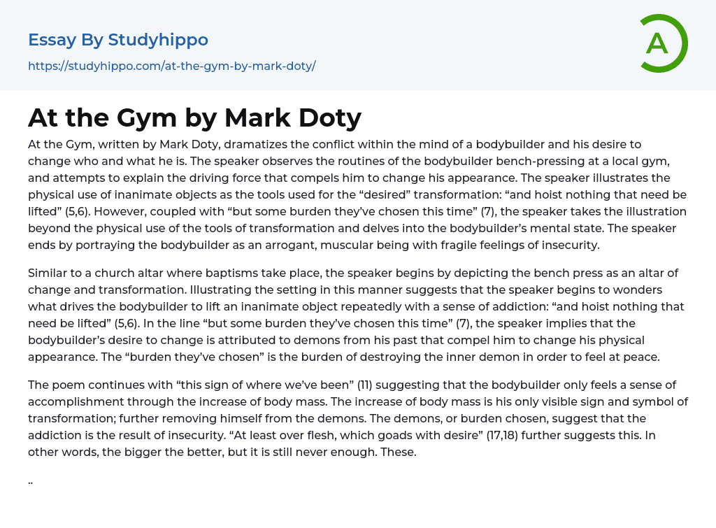 At the Gym by Mark Doty Essay Example