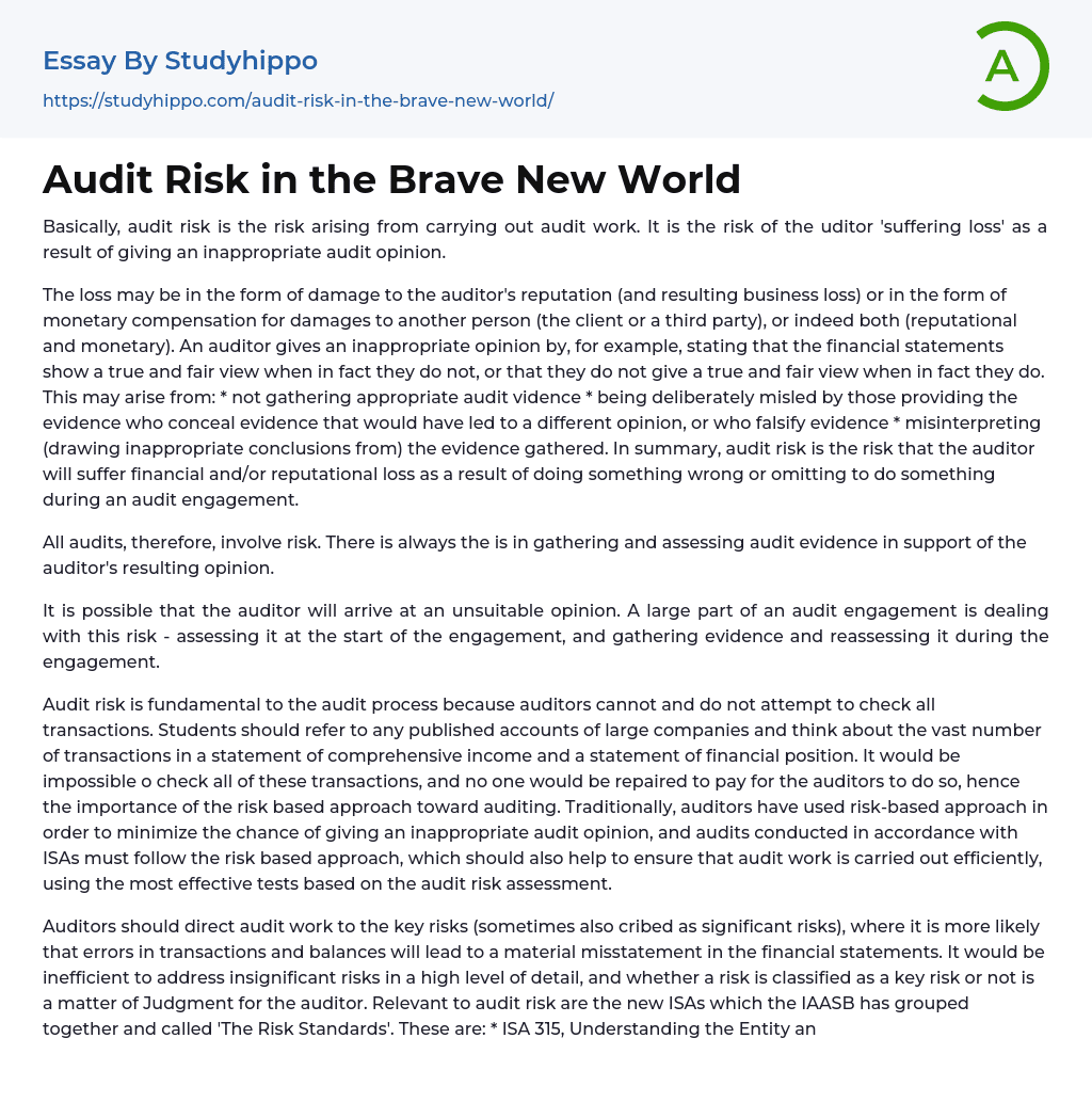 Audit Risk in the Brave New World Essay Example