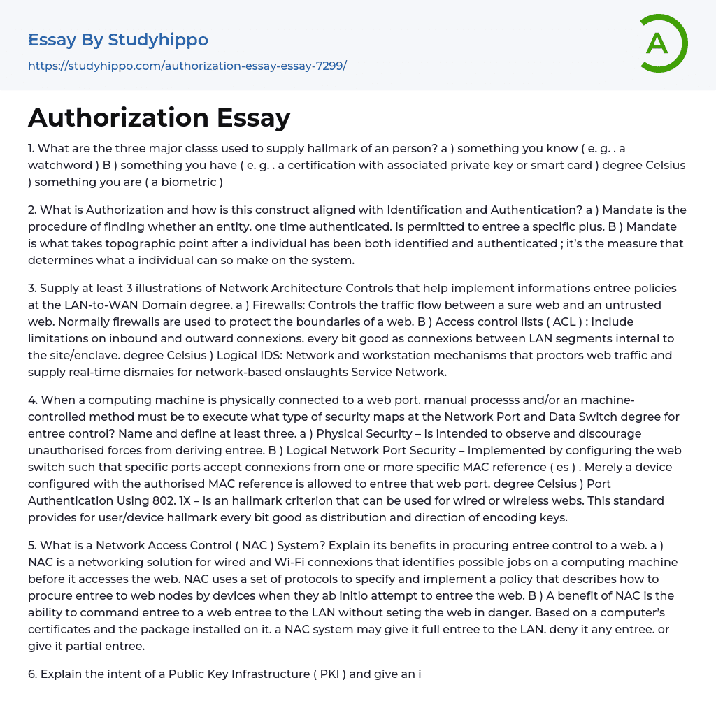 Authorization Essay