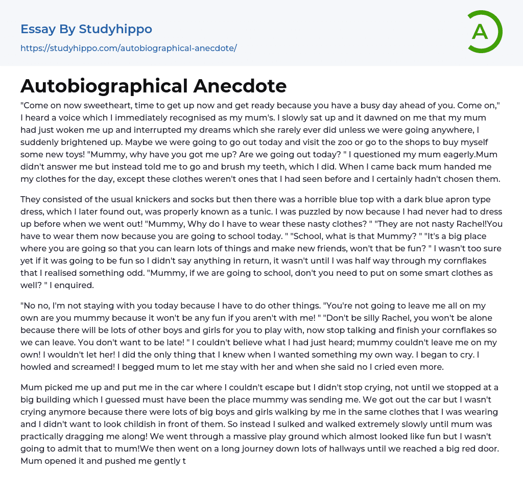 Autobiographical Anecdote Essay Example